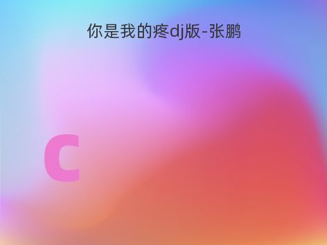 你是我的疼dj版-张鹏