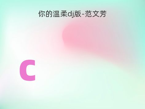 你的温柔dj版-范文芳