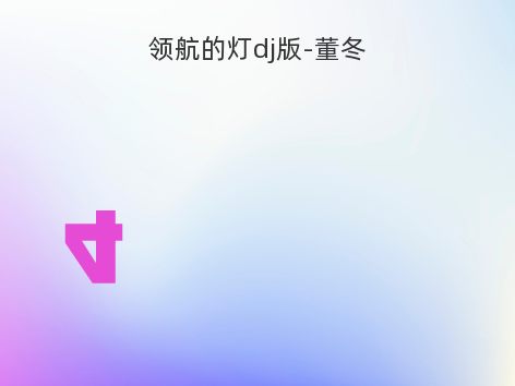 领航的灯dj版-董冬