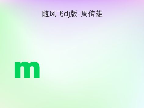 随风飞dj版-周传雄