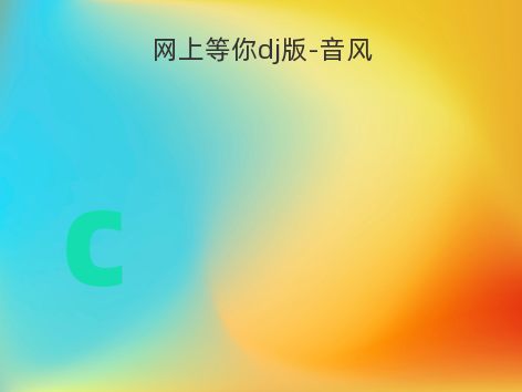 网上等你dj版-音风