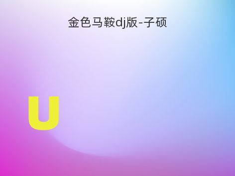 金色马鞍dj版-子硕