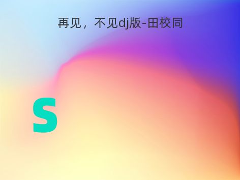再见，不见dj版-田校同