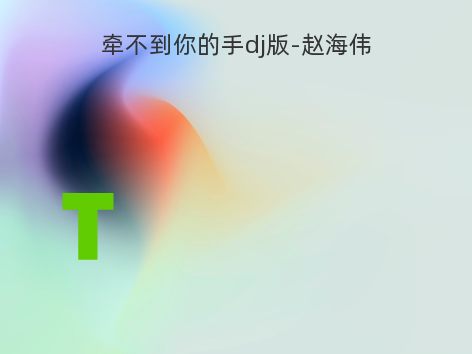 牵不到你的手dj版-赵海伟