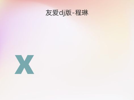 友爱dj版-程琳