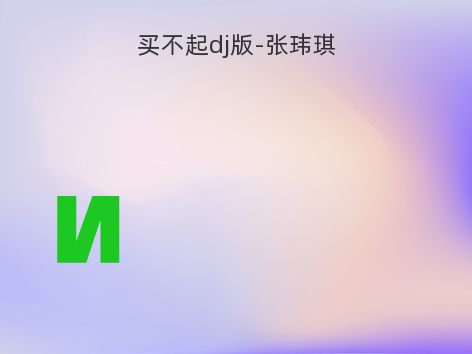 买不起dj版-张玮琪