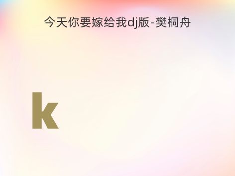今天你要嫁给我dj版-樊桐舟