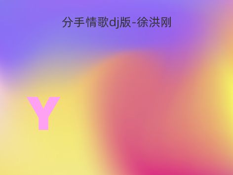 分手情歌dj版-徐洪刚