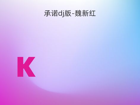 承诺dj版-魏新红