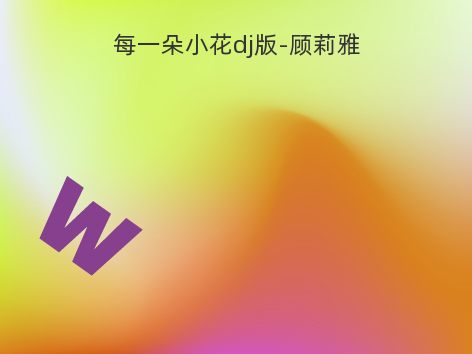 每一朵小花dj版-顾莉雅
