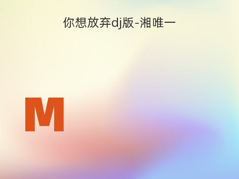 你想放弃dj版-湘唯一