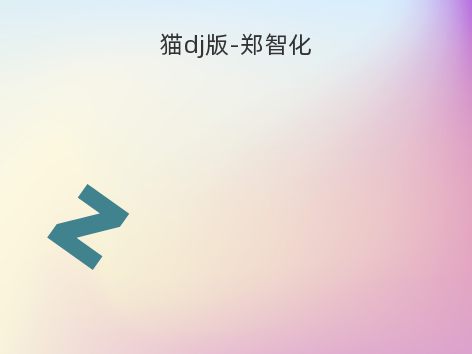猫dj版-郑智化