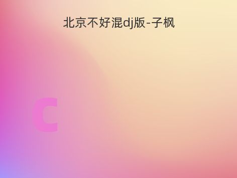 北京不好混dj版-子枫