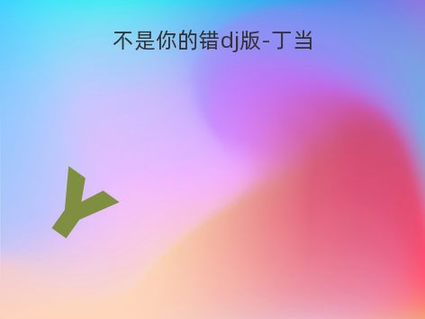 不是你的错dj版-丁当