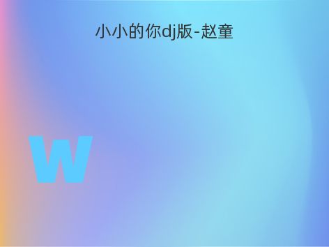 小小的你dj版-赵童