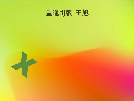 重逢dj版-王旭