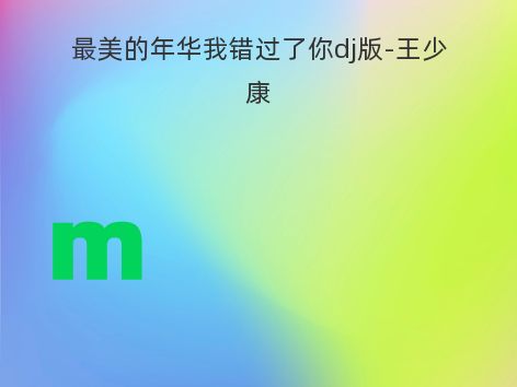 最美的年华我错过了你dj版-王少康