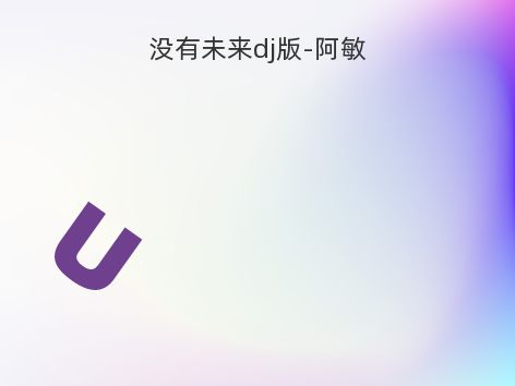 没有未来dj版-阿敏
