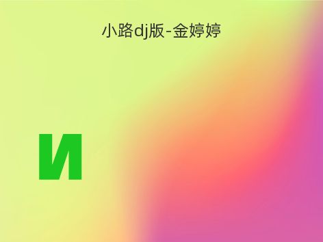 小路dj版-金婷婷
