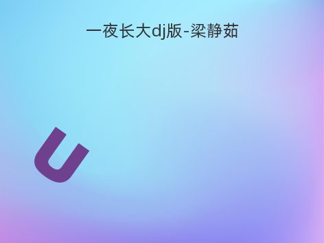 一夜长大dj版-梁静茹