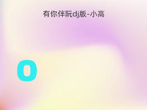 有你伴阮dj版-小高
