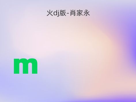 火dj版-肖家永