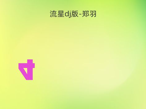 流星dj版-郑羽