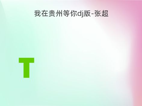 我在贵州等你dj版-张超