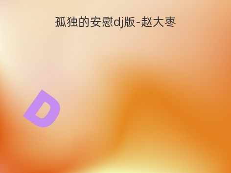 孤独的安慰dj版-赵大枣