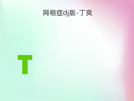 网相症dj版-丁爽