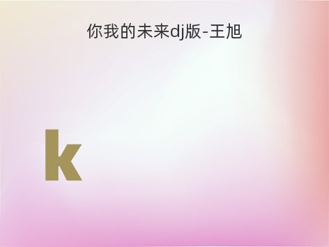 你我的未来dj版-王旭