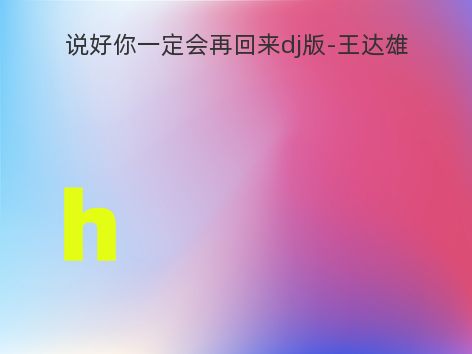 说好你一定会再回来dj版-王达雄