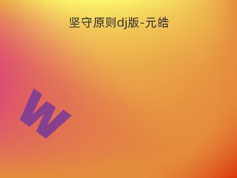 坚守原则dj版-元皓
