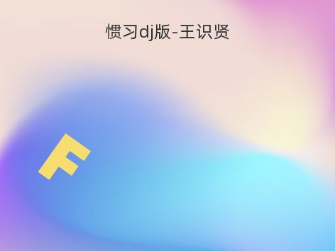 惯习dj版-王识贤