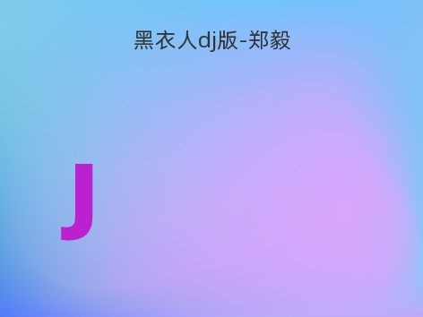 黑衣人dj版-郑毅