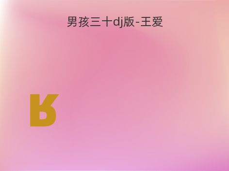 男孩三十dj版-王爱