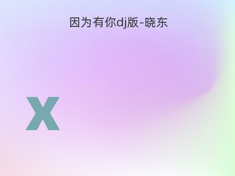 因为有你dj版-晓东