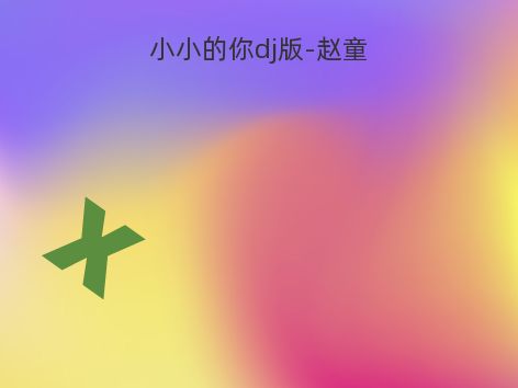 小小的你dj版-赵童