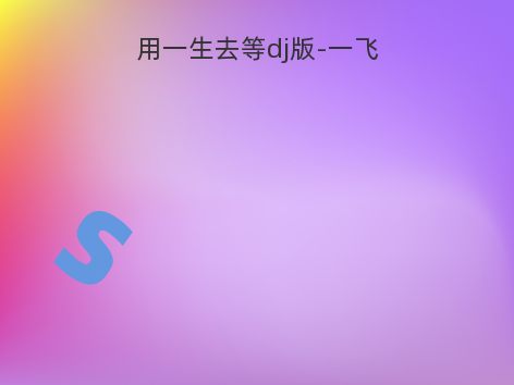 用一生去等dj版-一飞