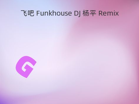 飞吧 Funkhouse DJ 杨平 Remix
