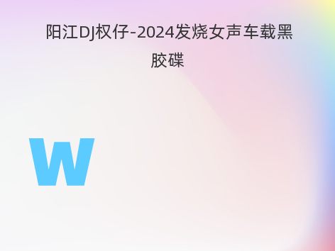 阳江DJ权仔-2024发烧女声车载黑胶碟