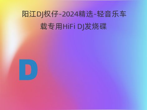 阳江DJ权仔-2024精选-轻音乐车载专用HiFi DJ发烧碟