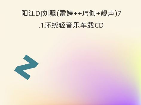 阳江DJ刘飘(雷婷++玮伽+靓声)7.1环绕轻音乐车载CD