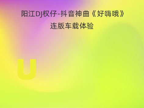阳江DJ权仔-抖音神曲《好嗨哦》连版车载体验