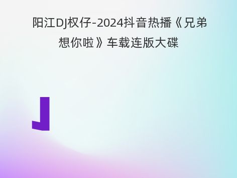 阳江DJ权仔-2024抖音热播《兄弟想你啦》车载连版大碟