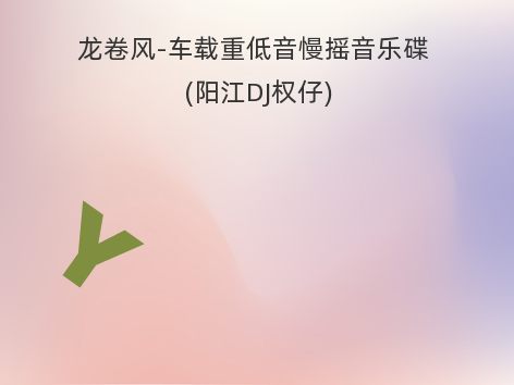 龙卷风-车载重低音慢摇音乐碟 (阳江DJ权仔)