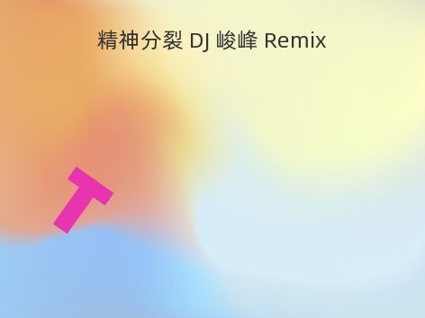 精神分裂 DJ 峻峰 Remix