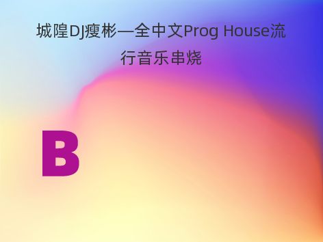 城隍DJ瘦彬—全中文Prog House流行音乐串烧