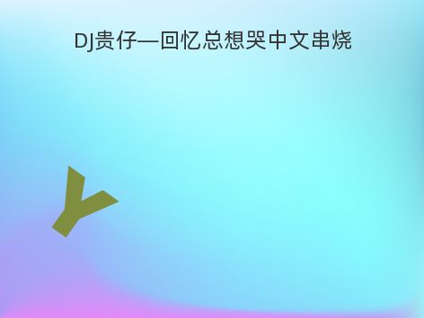 DJ贵仔—回忆总想哭中文串烧