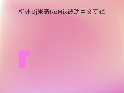 柳州Dj米奇ReMix被动中文专辑